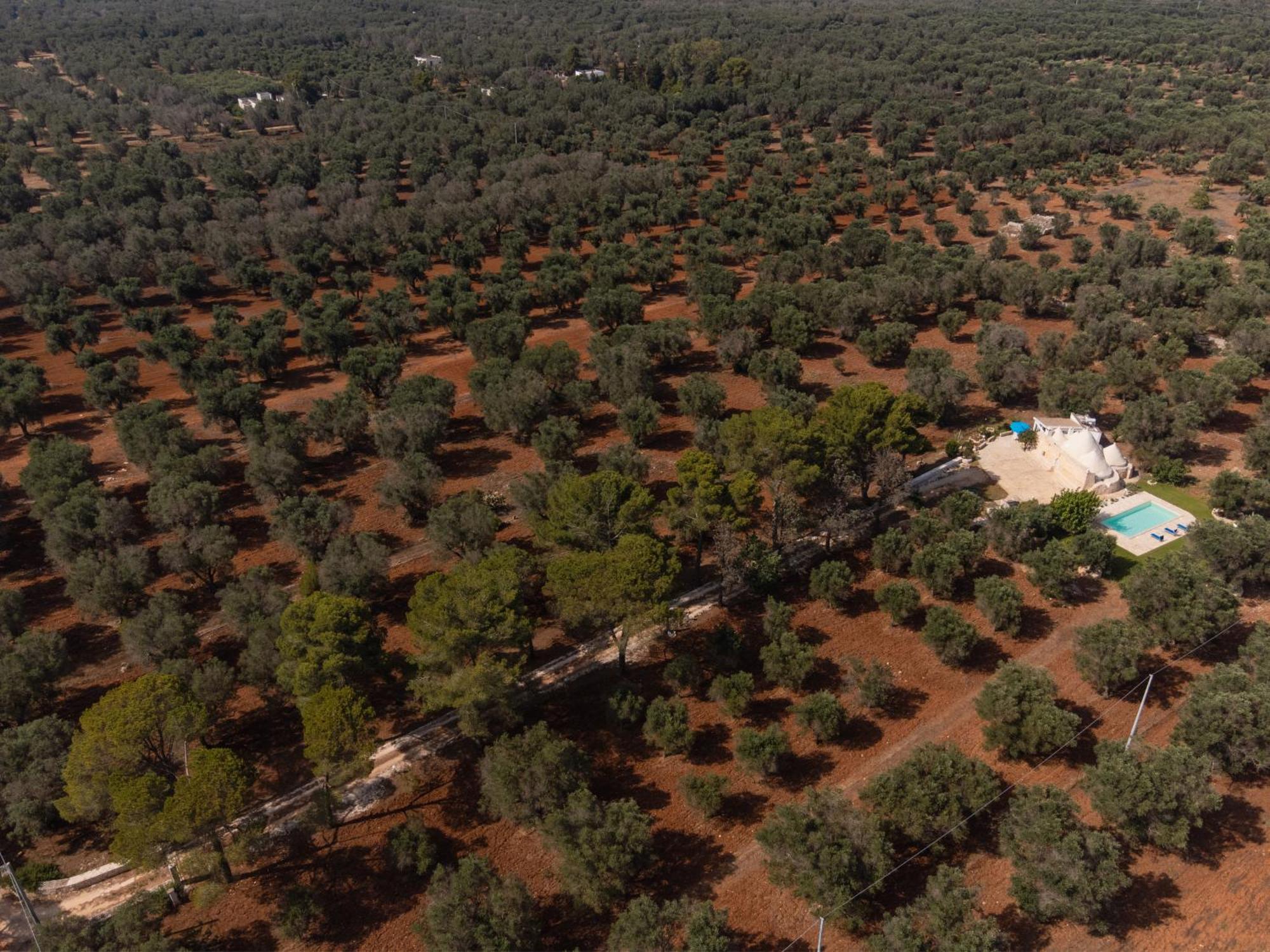 Апартаменты Trullo Tarantini Con Piscina Privata Latiano Экстерьер фото